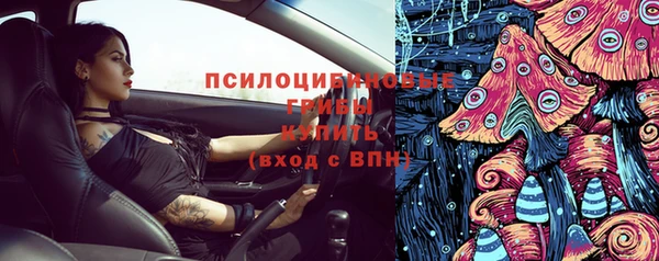 герыч Бородино