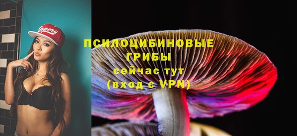 стаф Бронницы