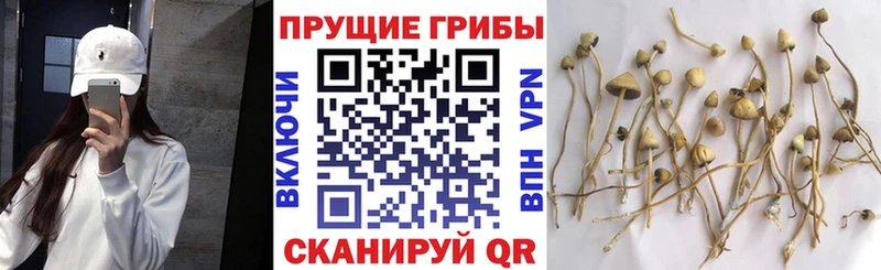 Галлюциногенные грибы ЛСД  Данилов 